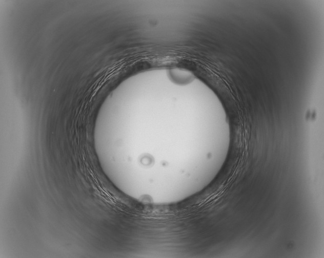 X0000115481393200911061014