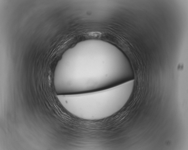X0000115481394200911061014