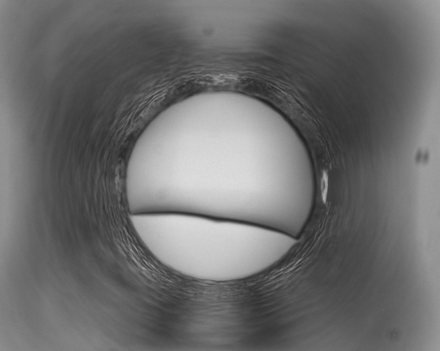 X0000115481395200911061014