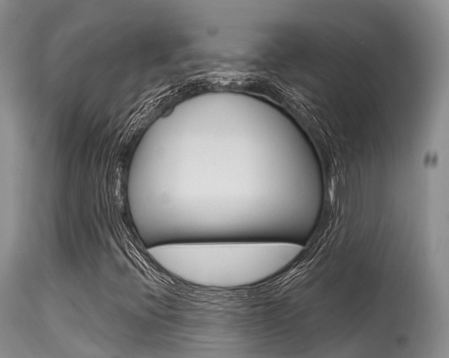 X0000115481396200911061014