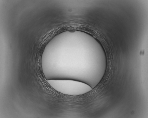 X0000115481397200911061014