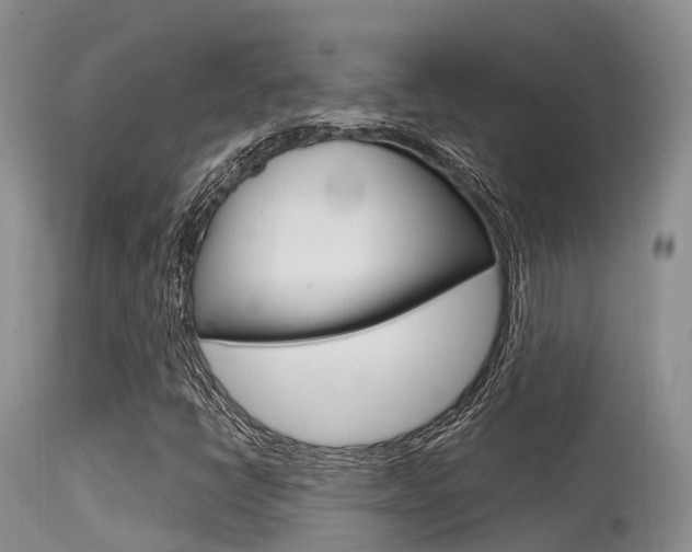 X0000115481398200911061014