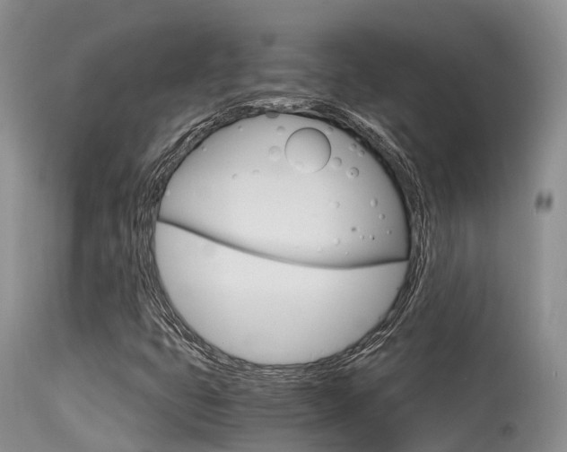 X0000115481399200911061014