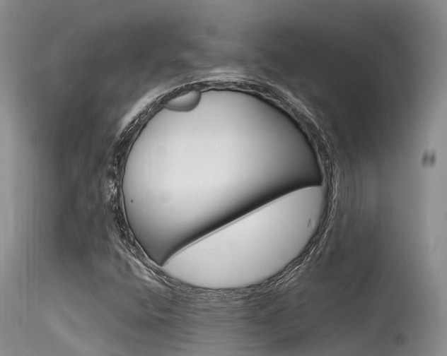 X0000115481400200911061014