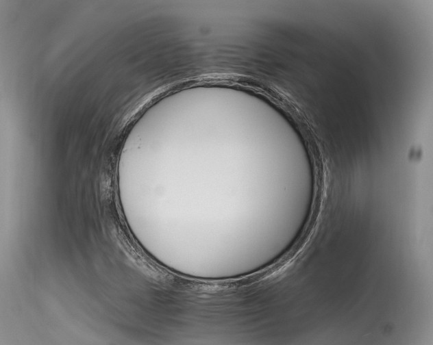 X0000115481401200911061014
