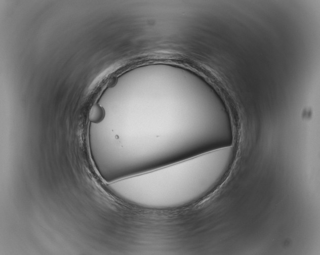 X0000115481402200911061014