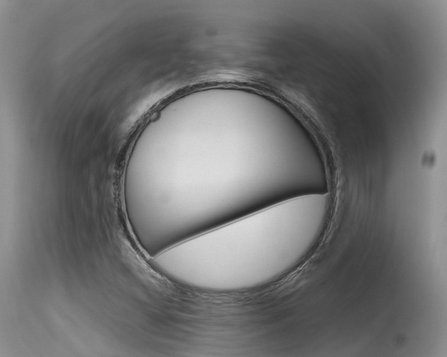 X0000115481404200911061014