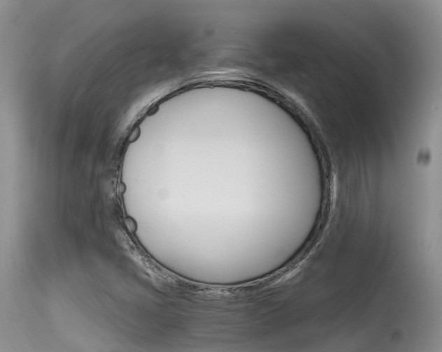 X0000115481405200911061014