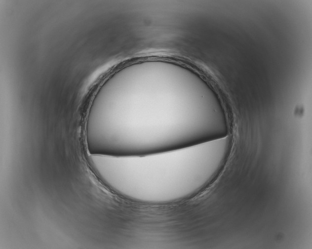 X0000115481406200911061014