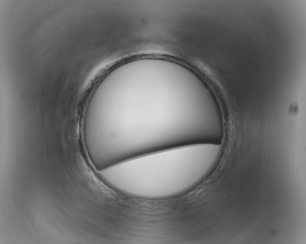 X0000115481408200911061014