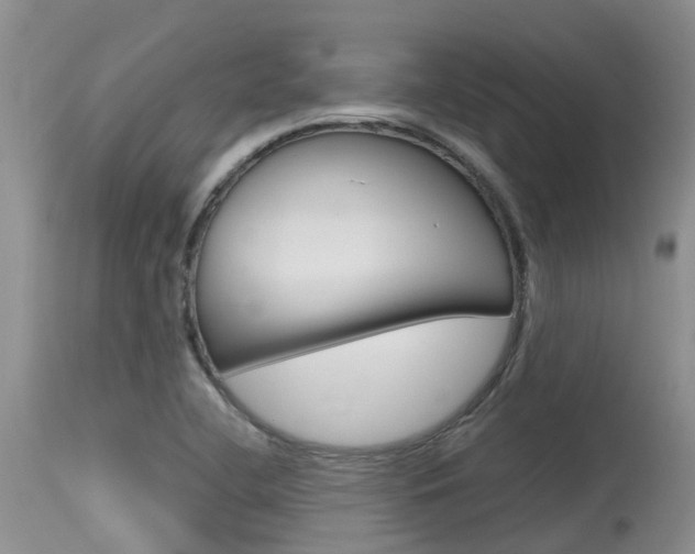 X0000115481412200911061014