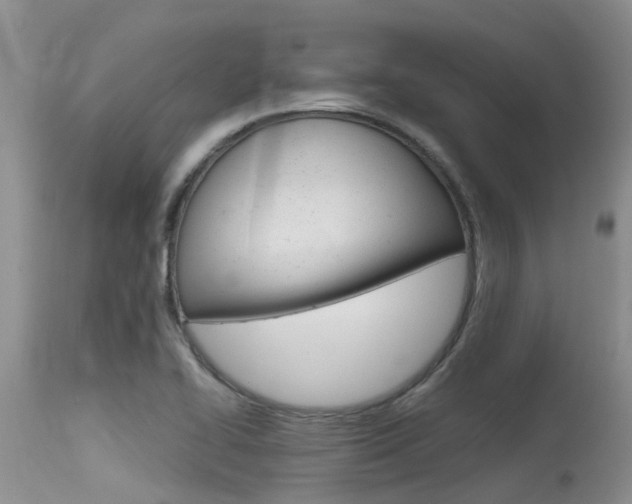 X0000115481414200911061014