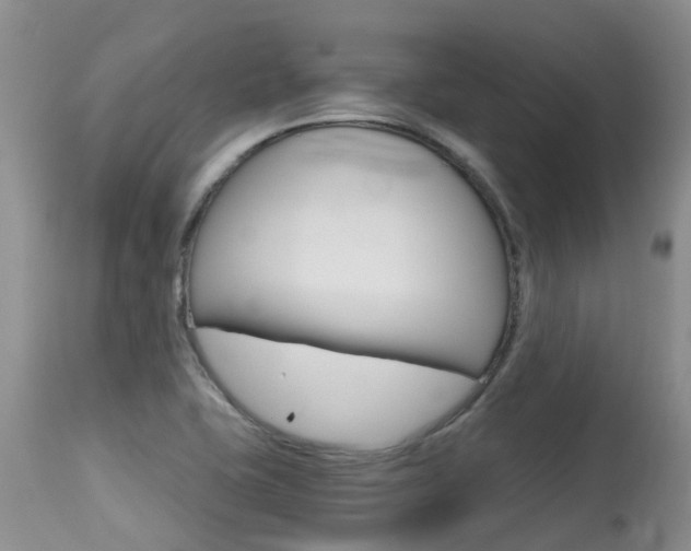 X0000115481415200911061014