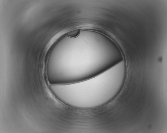 X0000115481418200911061014