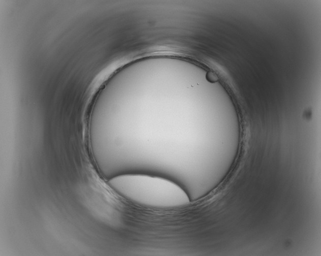 X0000115481419200911061014