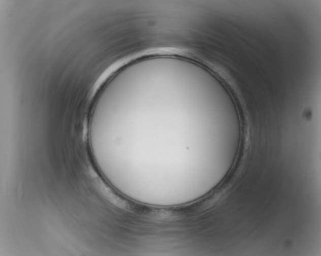 X0000115481420200911061014