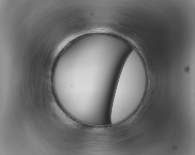 X0000115481422200911061014