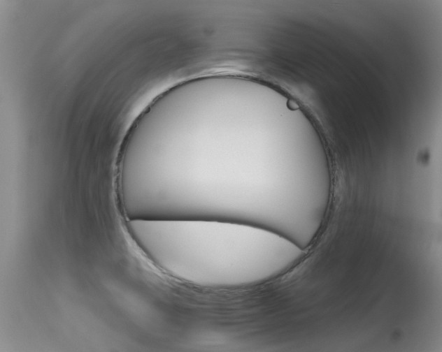 X0000115481423200911061014