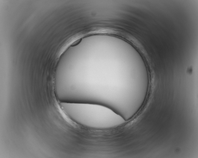 X0000115481425200911061014