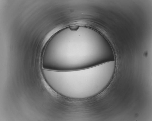 X0000115481426200911061014