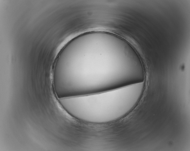 X0000115481428200911061014