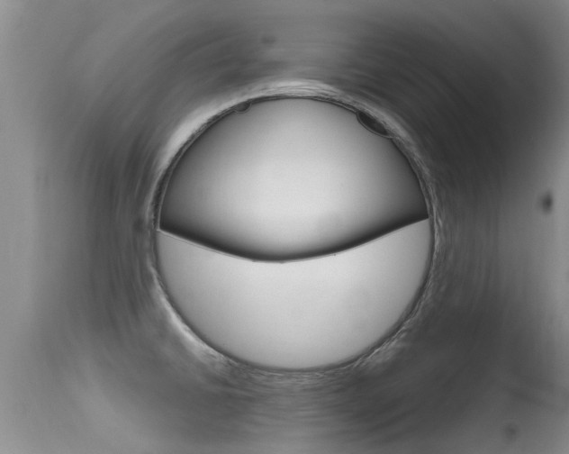 X0000115481430200911061014