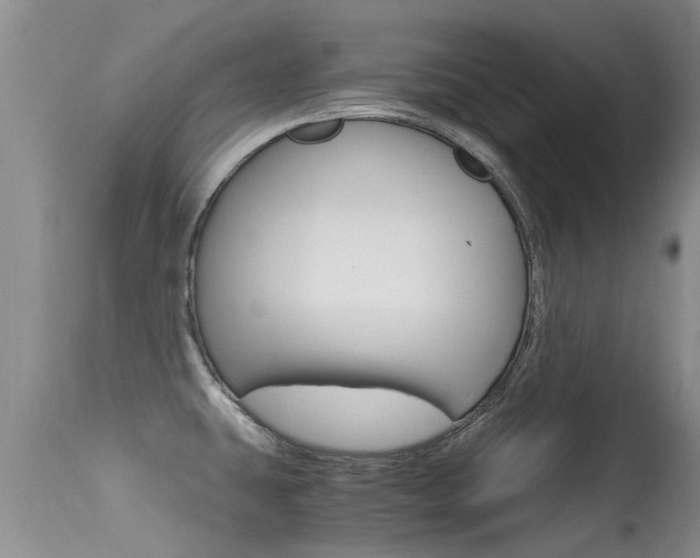 X0000115481431200911061014