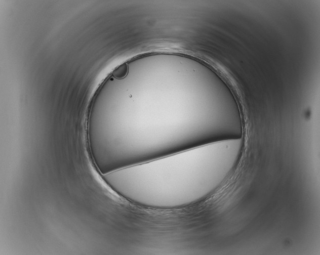 X0000115481432200911061014