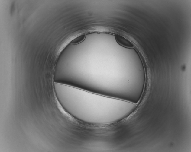 X0000115481433200911061014