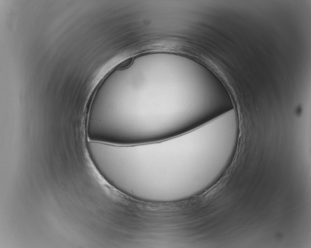 X0000115481434200911061014
