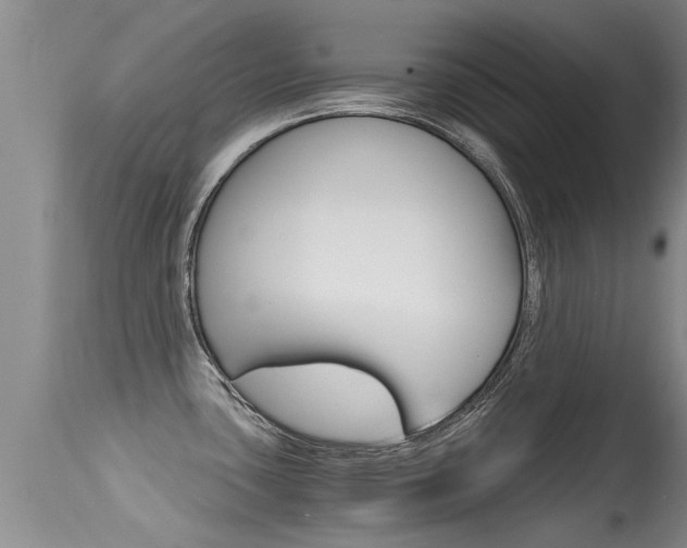 X0000115481435200911061015