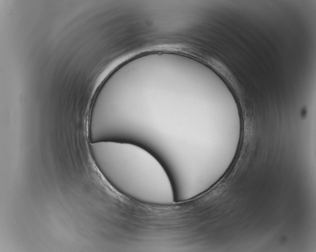 X0000115481436200911061015