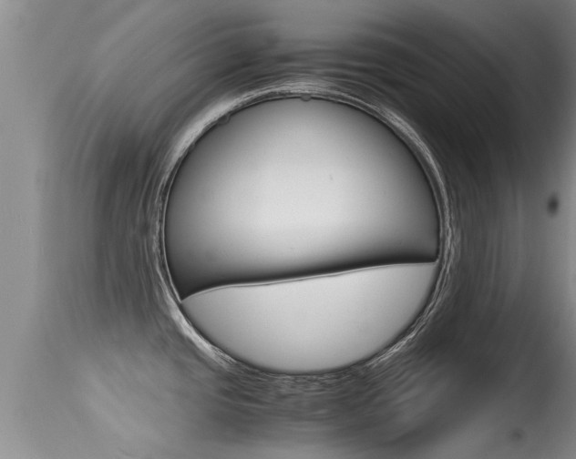 X0000115481437200911061015