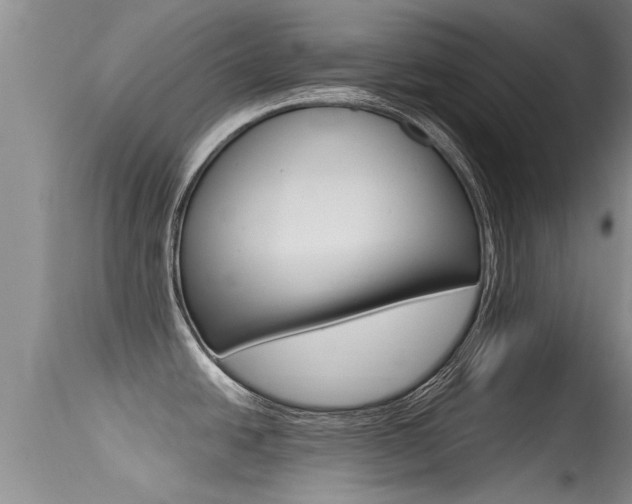 X0000115481438200911061015