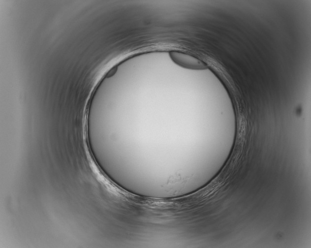 X0000115481439200911061015