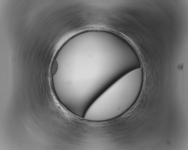 X0000115481440200911061015