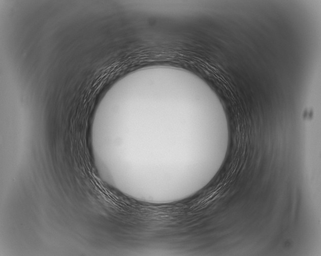 X0000115481441200911061014