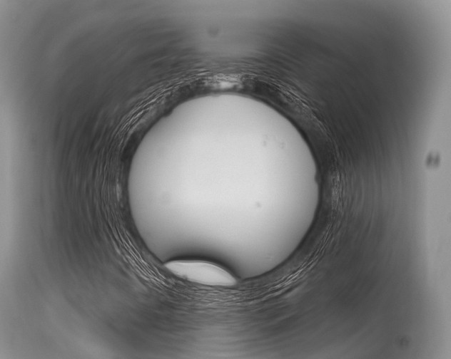 X0000115481442200911061014