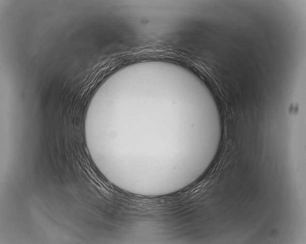 X0000115481444200911061014