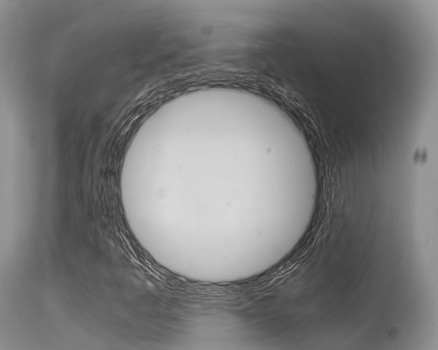 X0000115481445200911061014