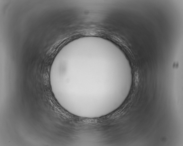 X0000115481446200911061014