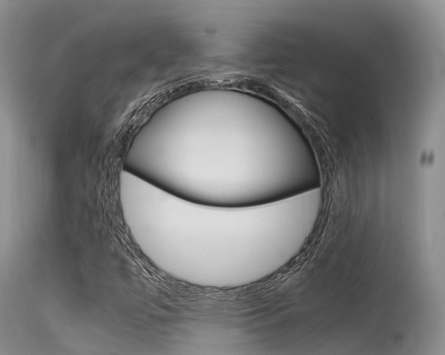 X0000115481447200911061014