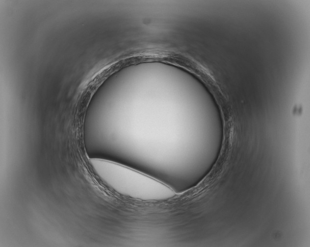 X0000115481448200911061014