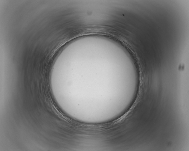 X0000115481449200911061014