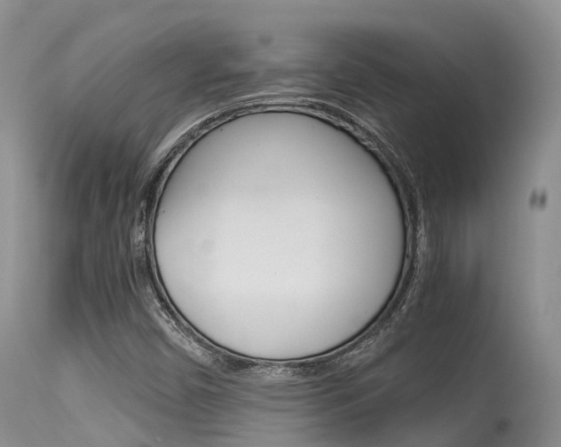 X0000115481450200911061014