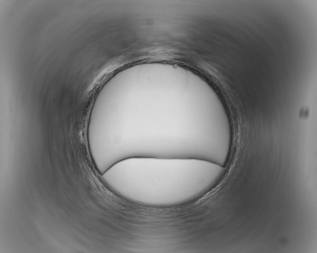X0000115481451200911061014