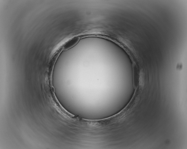 X0000115481452200911061014