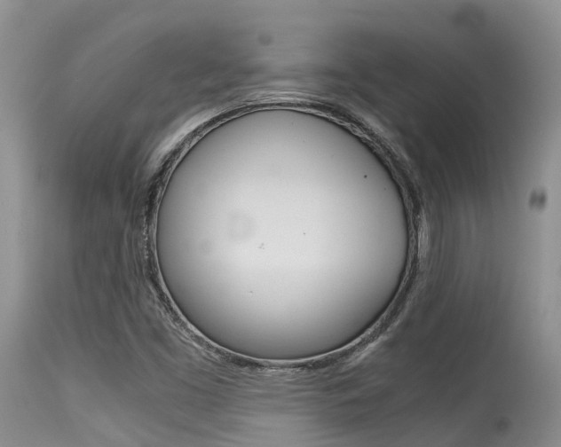 X0000115481453200911061014