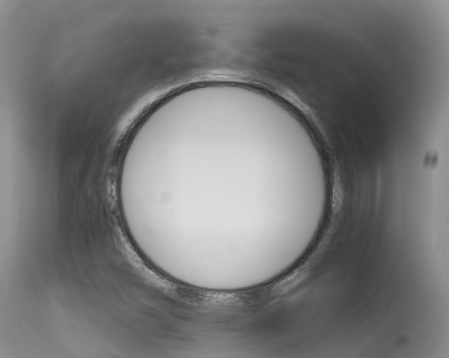 X0000115481454200911061014