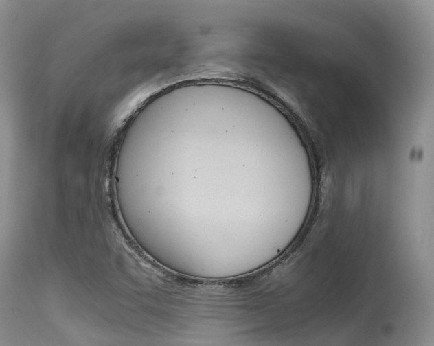 X0000115481455200911061014
